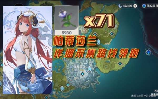 《原神》71朵帕蒂莎兰采集路线分享