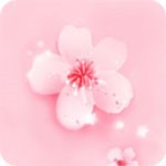 新大师兄影视手机版