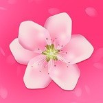 花蝴蝶在线视频播放免费观看版