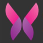 木瓜直播安装包下载大全