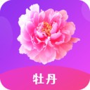 97视频软件下载大全