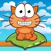 饥饿的猫免广告下载